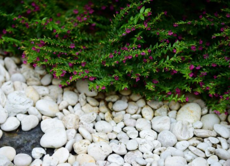 screenshot 2026 01 03 212614